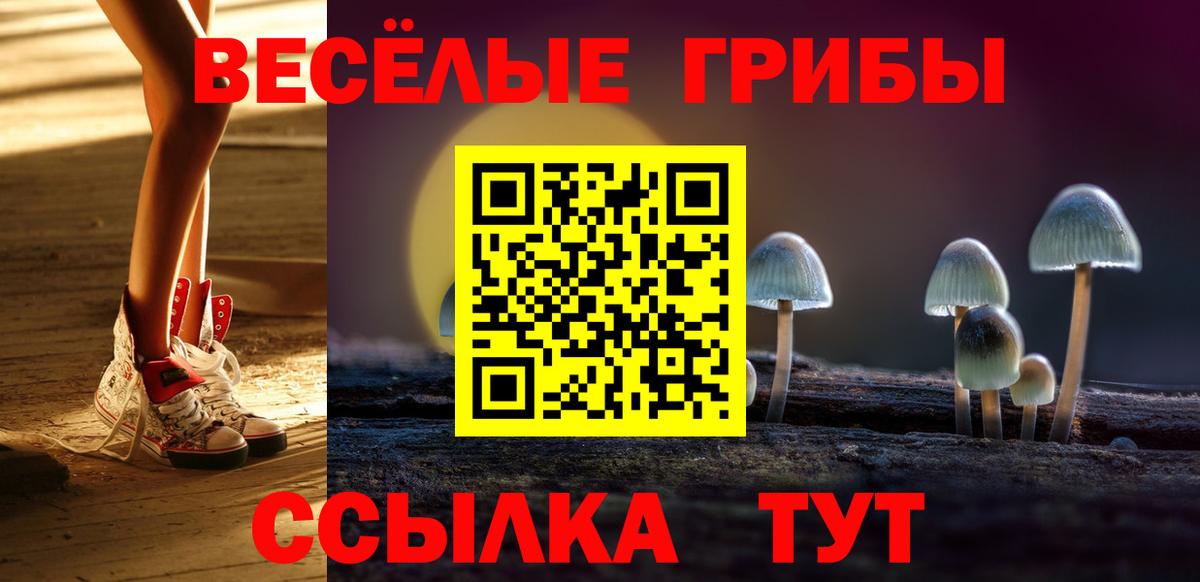 Сертолово  Псилоцибиновые грибы мухоморы  Галлюциногенные грибы MAGIC MUSHROOMS  Вход с VPN 